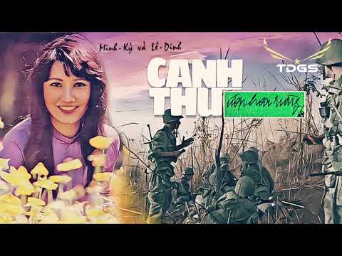 Cánh thư ướp hoa rừng Sheet - Hoàng Oanh