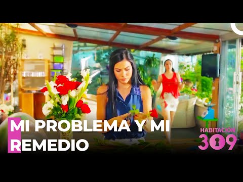 Tratamiento De Amor De Lale  - Habitación 309 Capítulo 14