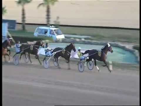 www.kennethvella.com Meeting (41) Date 13-9-2019 Race 1,2,3,4,5,6,7,8,9,10,11
