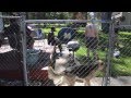 Spitback Bonecrusher MUSIC VIDEO