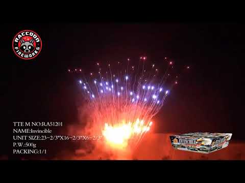 RA51201 Invincible