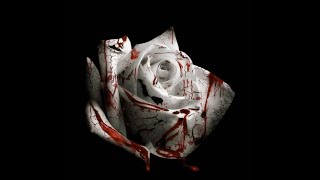 Cover art for Romantic Homicide