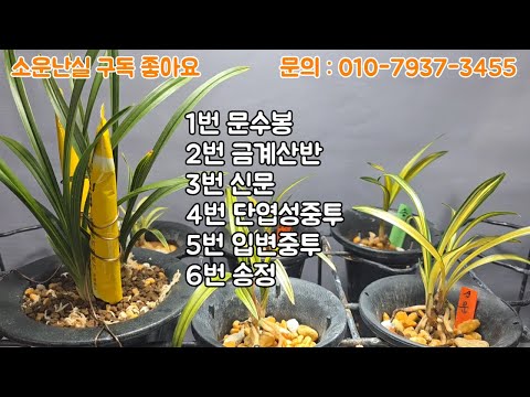 유튜브 썸네일