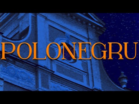 Rafoo - PoloNegru (Audio)