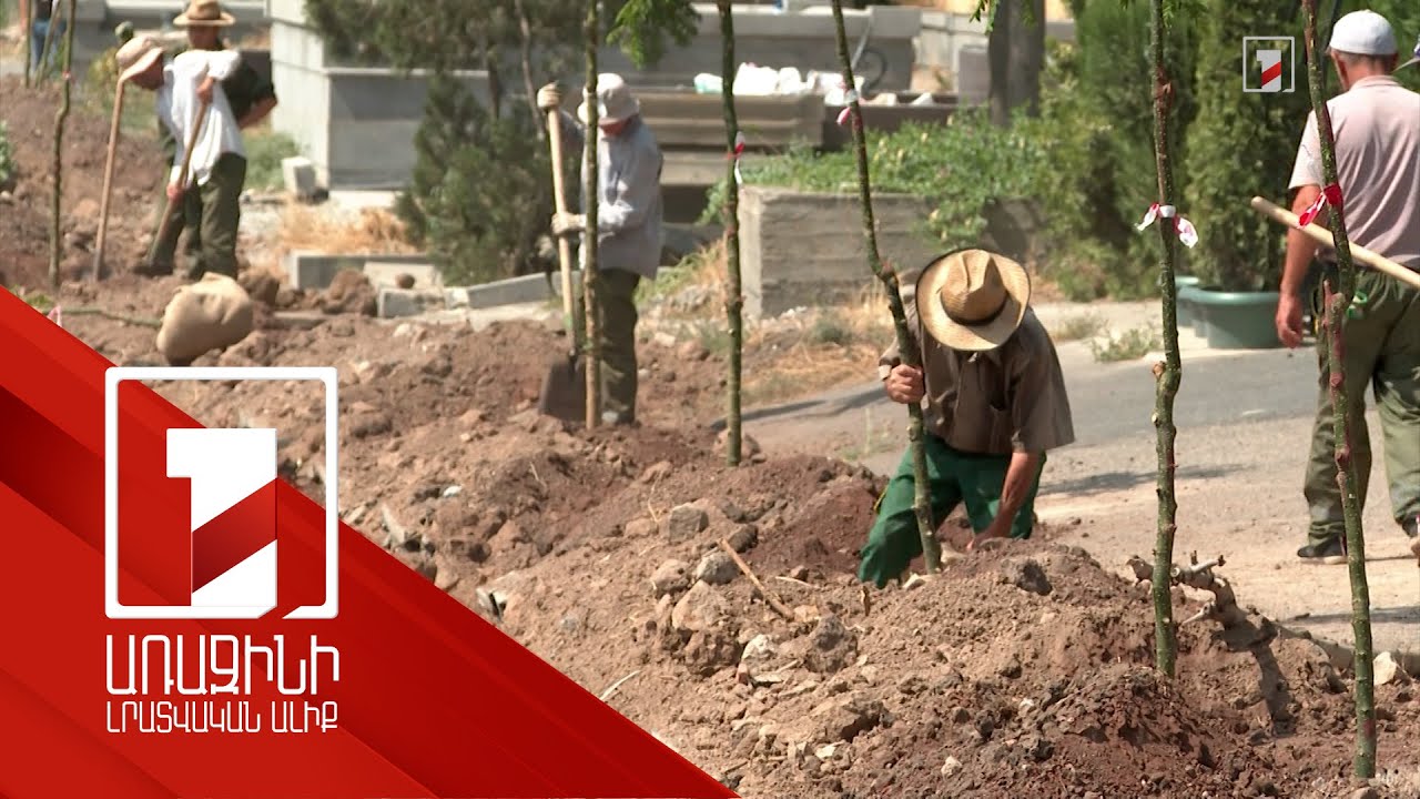 Երևանի գերեզմանատները ցանկապատվելու փոխարեն կծառապատվեն