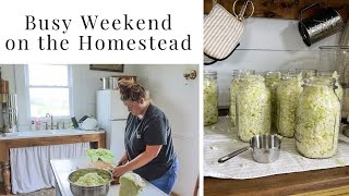 Busy Weekend on the Homestead | Canning Cabbage | Working in the Garden | Building Fence