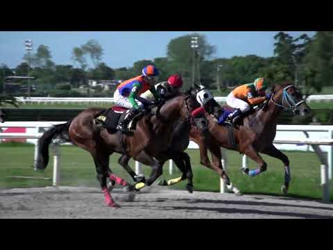 220128 c01 DOG PRINCIPE