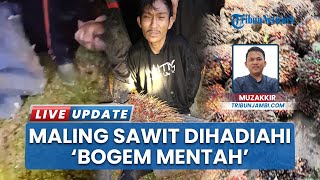 Pencuri Buah Kelapa Sawit di Tuo Ilir Meresahkan Warga, Pelaku Sempat Dihajar Sebelum Ditangkap