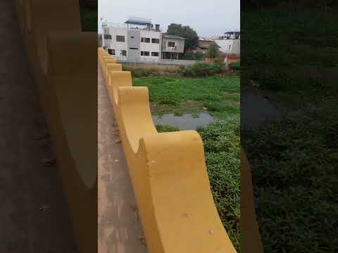 El famoso puente 20 de julio conocido como puente viejo de Lorica córdoba...