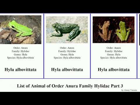 IUCN分類における絶滅の危険性を示す図。