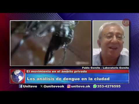 Alerta dengue: un promedio 70 personas por día dan positivo (sólo en un laboratorio villamariense)