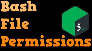 Bash Shell Scripting For Beginners 2019 - File Permissions