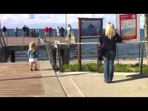 Rewal 2011 urlop molo