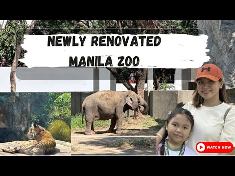 What’s inside the Newly Renovated Manila Zoo??? #manilazooupdatetoday #animalzoo #AbemonFam