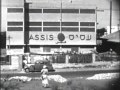 Weill Family Trip To Palestine From Germany During The 1930s