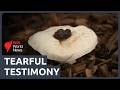 Mushroom Murder Victims Daughter Surprised At Invite To Deadly Meal