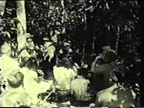 Cuando los padre olvidan.