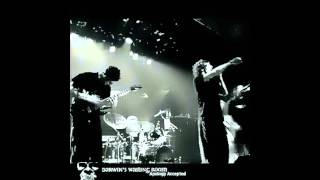 Darwin's Waiting Room - Killing Eros