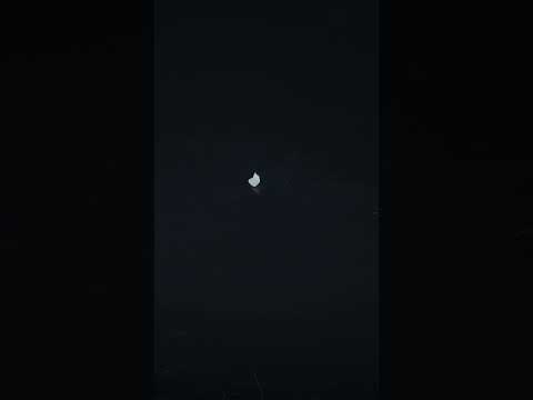 YouTube 썸네일