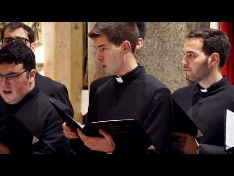 Komorni zbor bogoslova CBS -  Kad je vrime od Božića (Koncert "Ususret Božiću" 2019. LIVE)