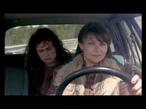 Vagabond | Brainy Films | Video Essay