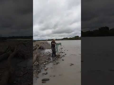 San Martin (Meta). Llanos Orientales. José Antonio Cruz. m.@.@🦇