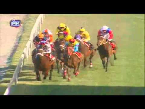 3Racingtips Videos | Mauritius Horseracing Meeting 36 - Race 7.flv