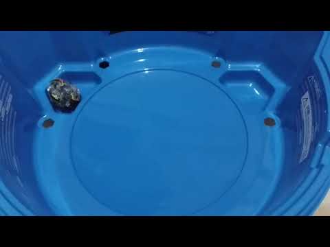 WİLD WYVRON vs king kerbeus