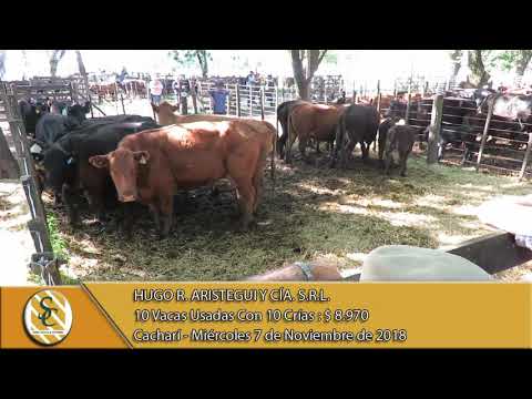 07-11-18 Venta de Vientres - Hugo R. Aristegui y Cía. S.R.L. - Cacharí