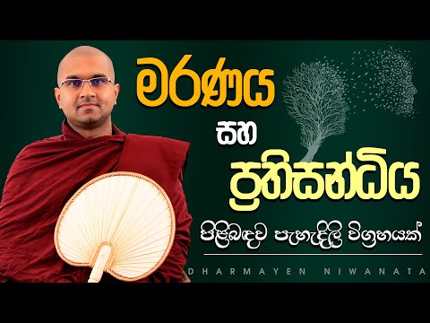 මරණය සහ ප්‍රතිසන්ධිය | Ven. Watagoda Maggavihari Thero