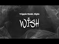 Trippie Redd Diplo Wish Audiomack Trap Symphony Version Lyrics