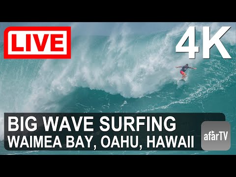 🔴 Live Now: Famous North Shore of Oahu, Hawaii in 4K Ultra HD