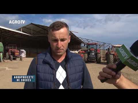 Agroproiecte de succes producatori de cultura mare