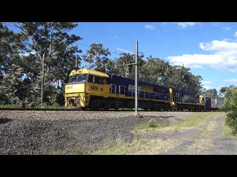 NR8 / NR115 with PN 7SB1 - 11/4/20