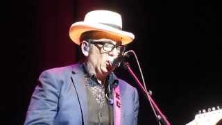 Elvis Costello - Night Rally  (Brussels, 21 Oct 2014)