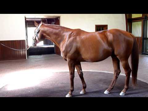 Point Given - 7/30/2010