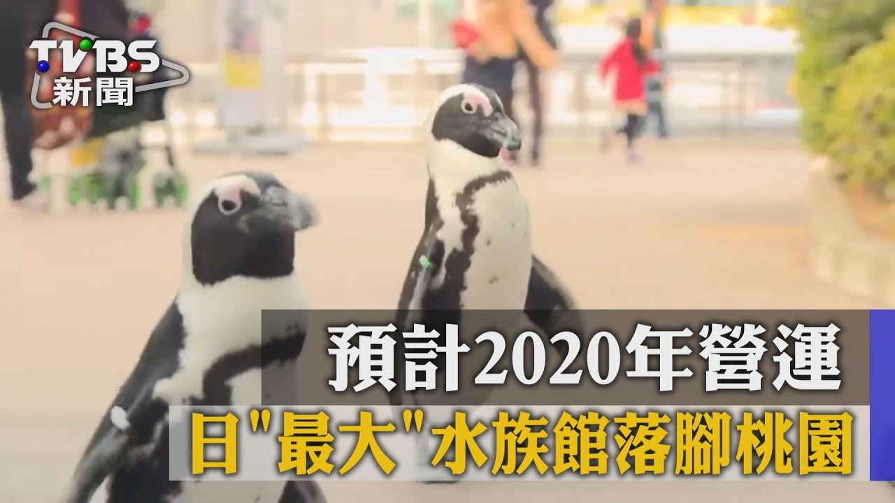 日最大水族館落腳桃園 預計2020年營運