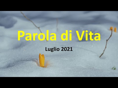 Parola di Vita Luglio 2021 | “Coraggio, figlia, la tua fede ti ha salvata” (Mt 9,22)