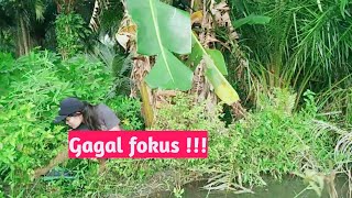 Download lagu fishing line - fishing mania - beautiful fishing - beautiful fishing failed to focus mp3