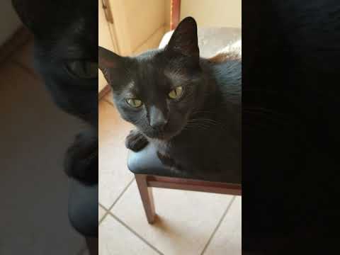 Double Masters VIP Booster Case Opening: Pack #3 - Becoming the Double Master