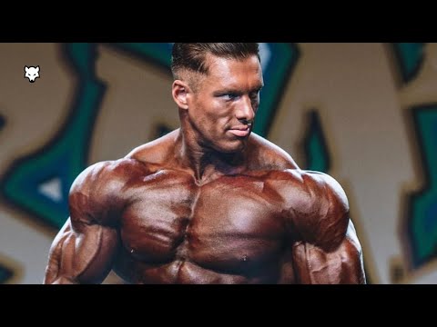 BAD WOLF 🐺 - Caike Pro