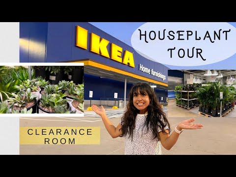 , title : 'HOUSEPLANT TOUR AT IKEA / PLANT SHOPPING / IKEA GREENHOUSE / CLEARANCE AREA AND MORE!!!'