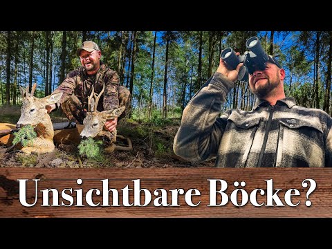 Blattzeit Tipps - Vermeide diese Fehler und die reifen alten Böcke springen! #nordjagd