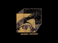 Asaf Avidan The Labyrinth Song