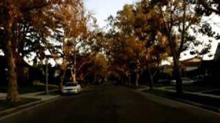 Stephen Malkmus - Baby C'Mon (Official Video)