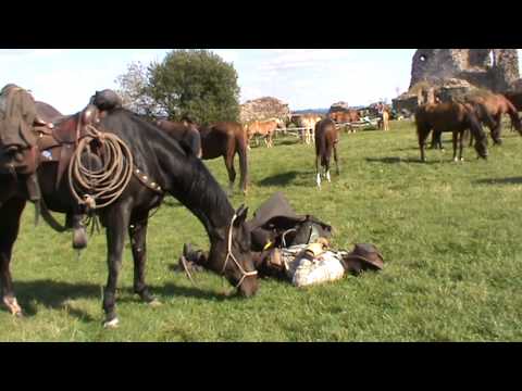 100 mil v sedle 2014