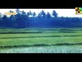 Ennai Thottu Alli Konda HD Song 1080p
