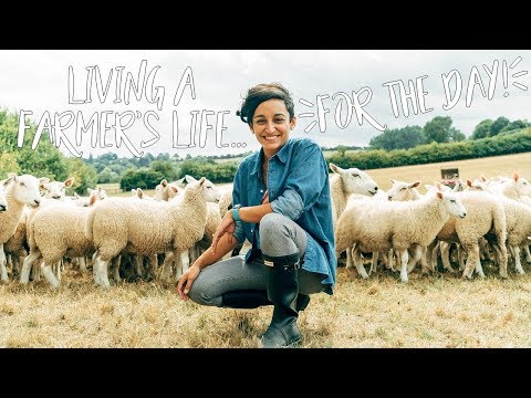 download lagu mp3 mp4 Buy Live Lamb Near Me, download lagu Buy Live Lamb Near Me gratis, unduh video klip Buy Live Lamb Near Me