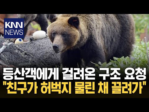 Japan's Archipelago on High Alert: "Friend Dragged Away by a Bear" / KNN