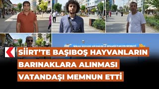 Siirt’te başıboş hayvanların barınaklara alınması vatandaşı memnun ett